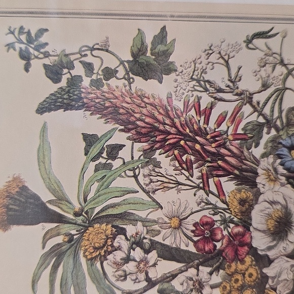 Robert Furbe's Twelve Months Of Flowers Framed Floral Art Print with Gold Frame - Picture 8 of 11